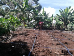 TNYC Organics Field Officer