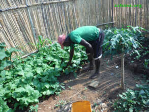 Another vegetable garden