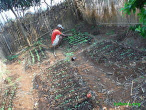 The spirit of a family garden came back