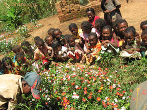 Flower bed next to the school