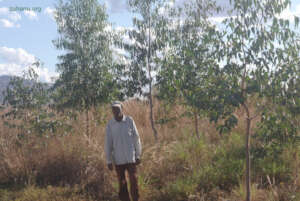 Jean 2016 and the forest he planted