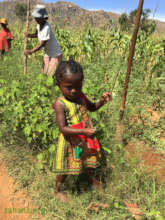 Joining tree planting party when they are young