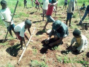 Stundents planting trees in Madagascar