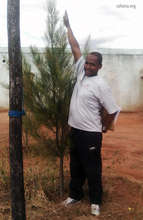 Our 'Santa' with the new tree growing well