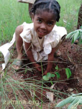 Planting tree seedlings to celebrate "School Day"