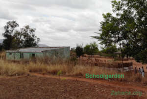 The schoolgarden in Fiarenana