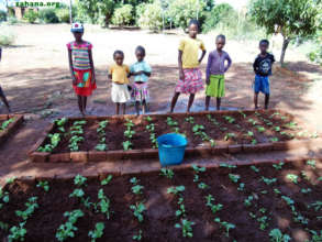 Fiadanana's school garden