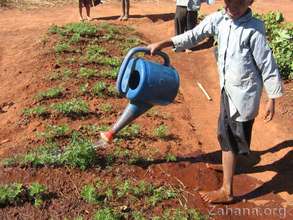 Tending to the garden