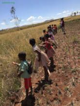 Reforestation with seed balls