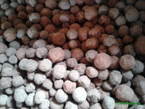 Seed balls for reforestation