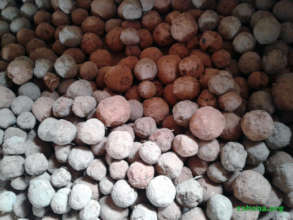 Seed balls for reforestation