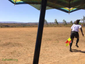 Umpire in action