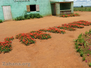 The flowers spell "zahana"