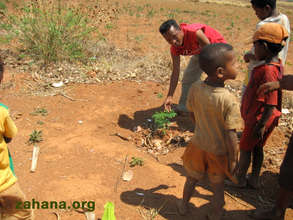 Planting Moringa trees in the schoolyard