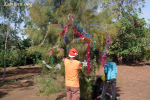 Decorating the (living) Christmas Tree