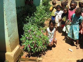 Fiadanana's school house