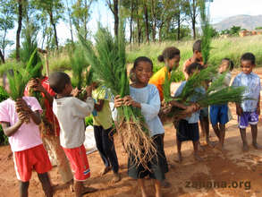 Seedlings for the school garden