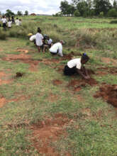 Students participating in reforestation
