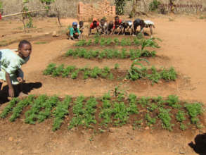 School garden when they attended school in 2010
