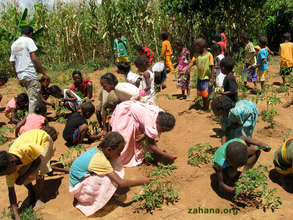 Our teacher with students in the tomato patch