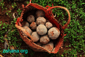 Seedballs made by our students for reforestation