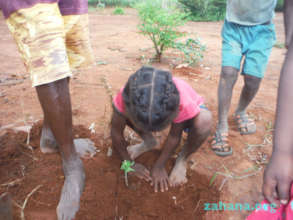 Trees start small in out schools