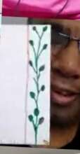 Gift envelopes