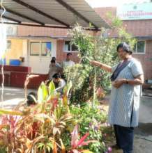 Watering the garden