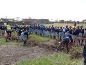 Children Breaking the Ground