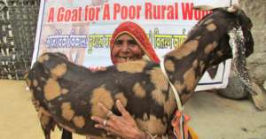 Empowering Women with Goat Rearing