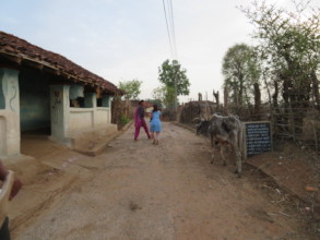 Rural Village Life In Bandhavgarh