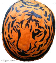 Example Tiger Pumpkin