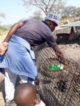 Animal kindness-- water for dogs, chickens & pigs