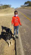 Animal kindness starts at home - walking on leash