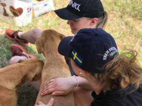 Volunteers during the dog outreach