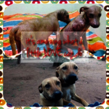 Its amazing what a little LOVE can do!