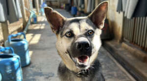 Westlyn taking her first walks in C-section