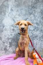 Buster's not handicapped in his mind