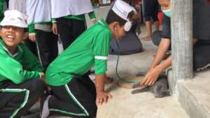 Educating local boys on medical care for animals