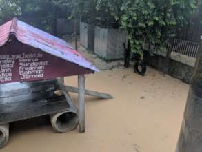 One of the flooded dog areas