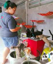 Medicine time in Kitty City