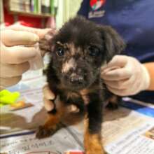 Melly is learning what love is all about