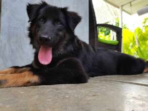 Melly, taken days before she left for Sweden