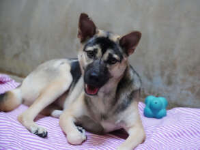 Westlyn now on her road to recovery