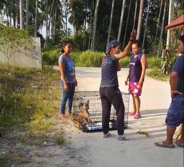 Help Suffering Animals Get Medical Treatment