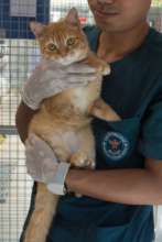 Lucifer, recovered from a severely broken leg