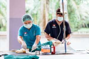 Sterilization in action