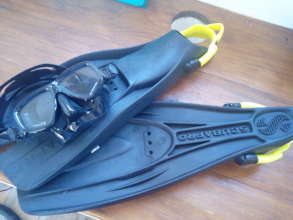 Fins and Snorkel equipment for Jonas and Norton