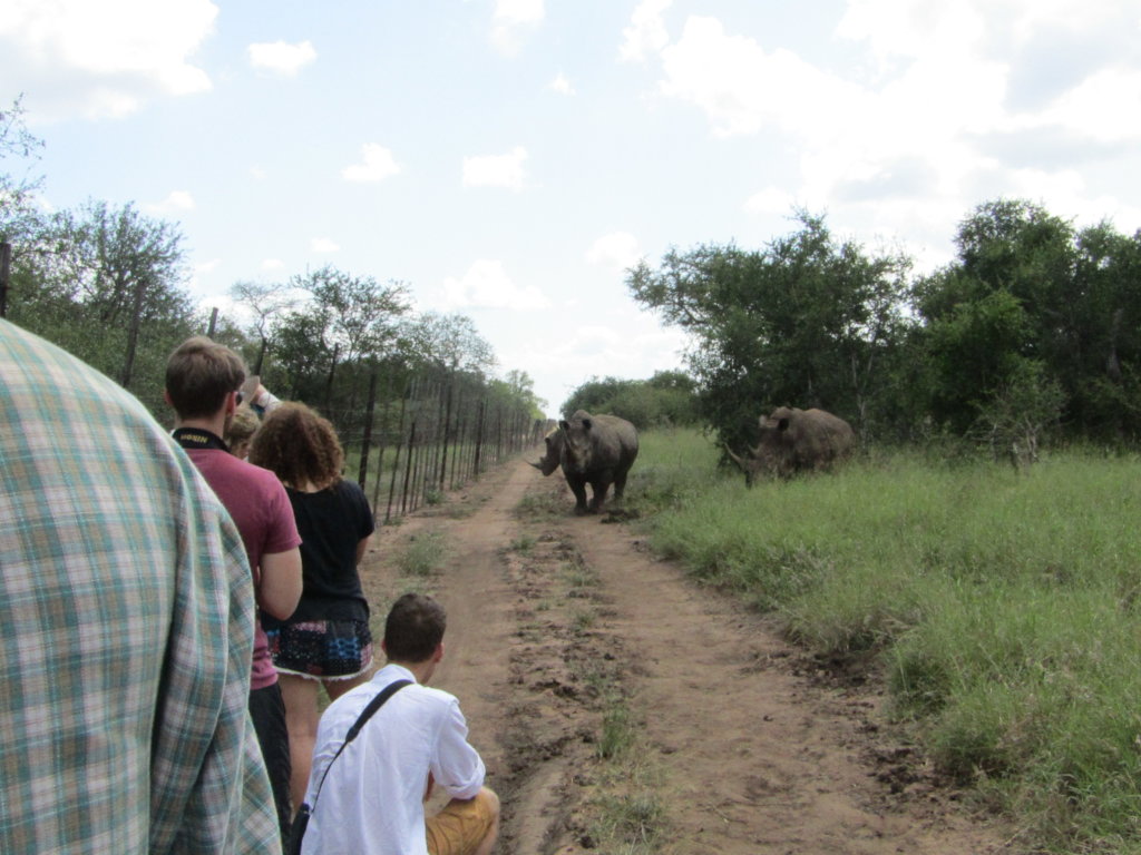 Train 100 ecologists in Mozambique & Eswatini