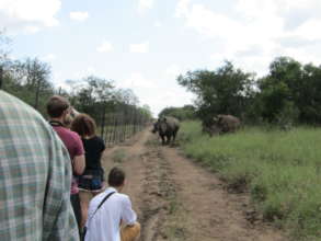 Students observing Rhino in the Game Reserve